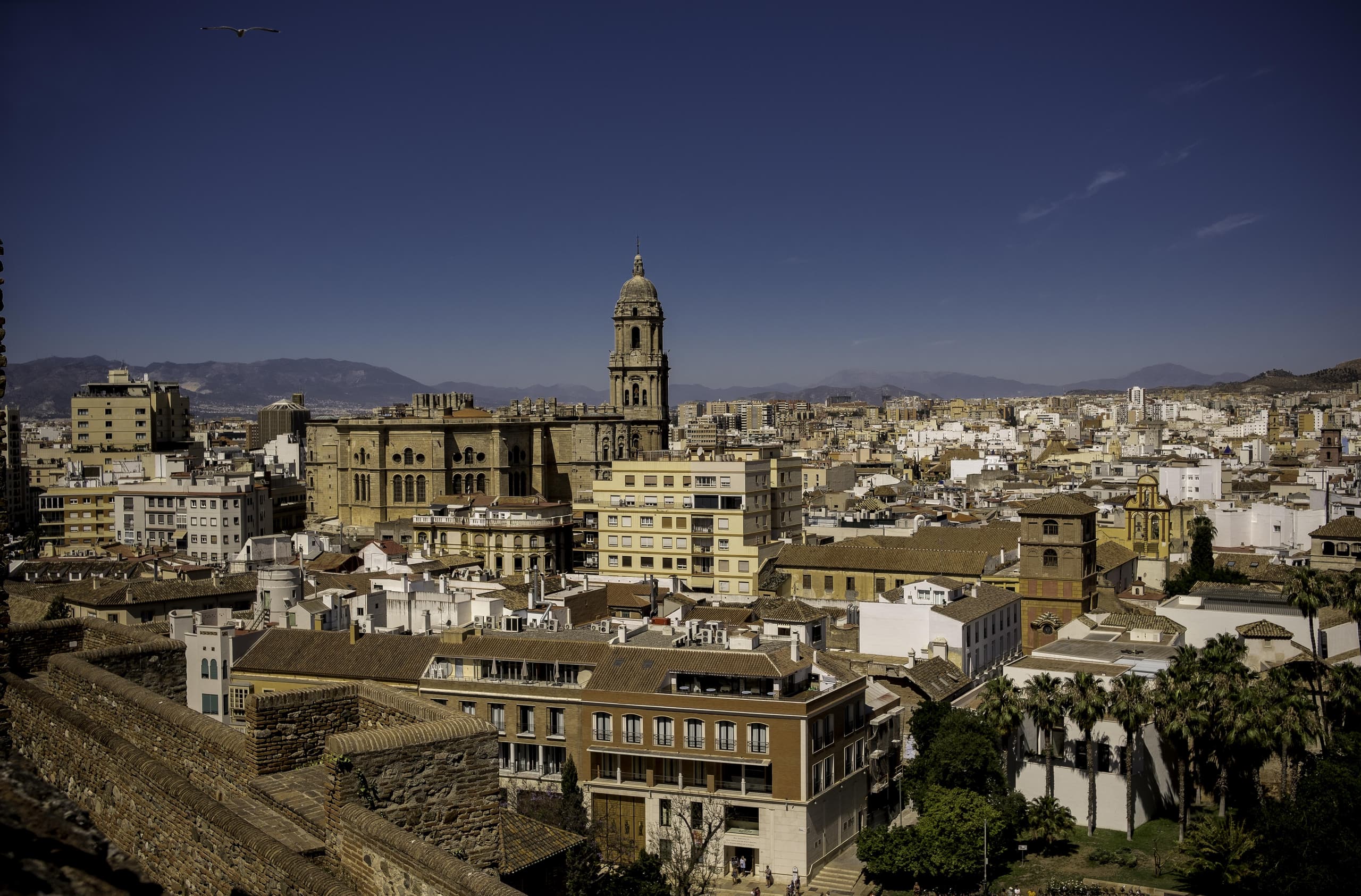 POR QUÉ ESTE ES EL FREE TOUR MÁS VALORADO DE MÁLAGA